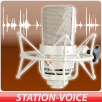 Sation-Voice 01